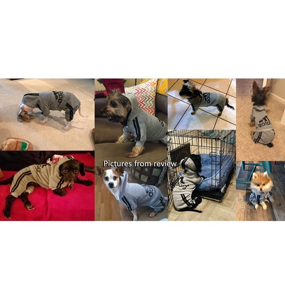 COPY - Adidas ‘adidog’ pet clothes 🐾 - Picture 5 of 6